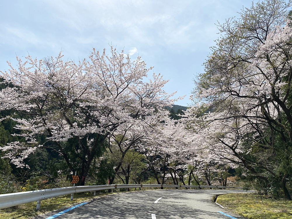 高野龍神スカイライン | ジャパン峠プロジェクト | JAPAN TOHGE PROJECT